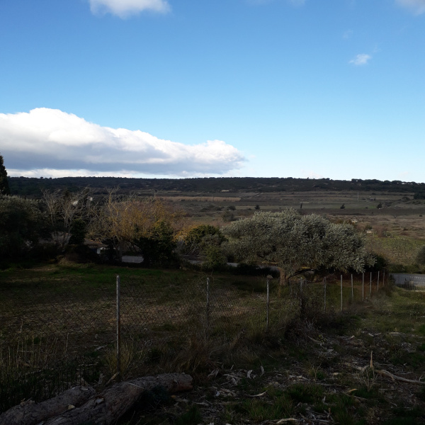 Offres de vente Terrain Bizanet 11200