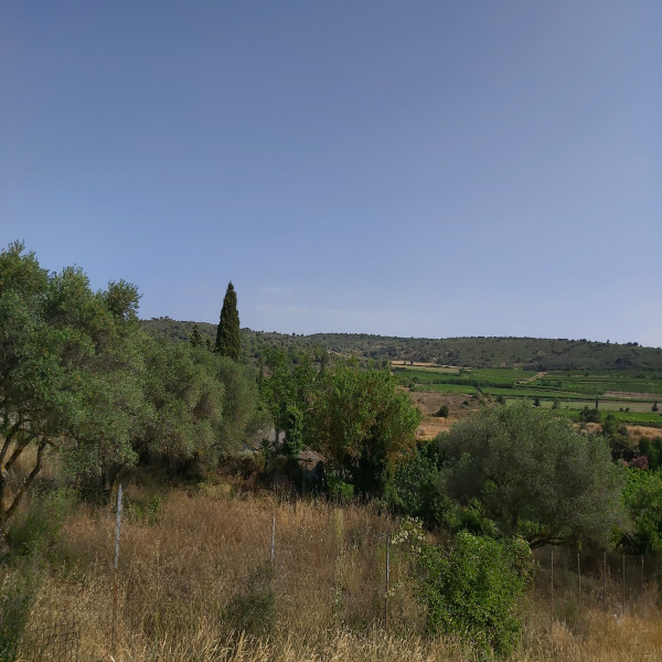 Offres de vente Terrain Bizanet 11200