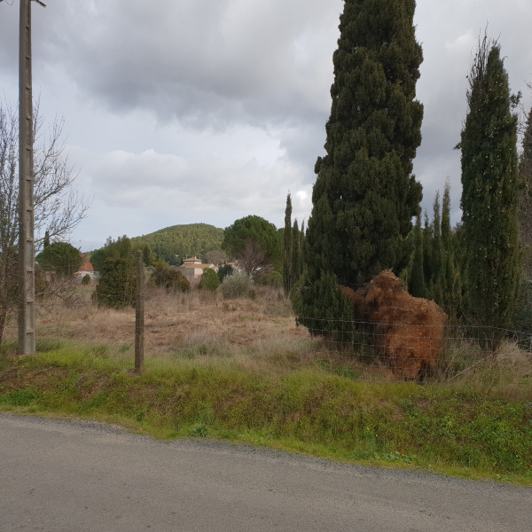 Offres de vente Terrain Ornaisons 11200