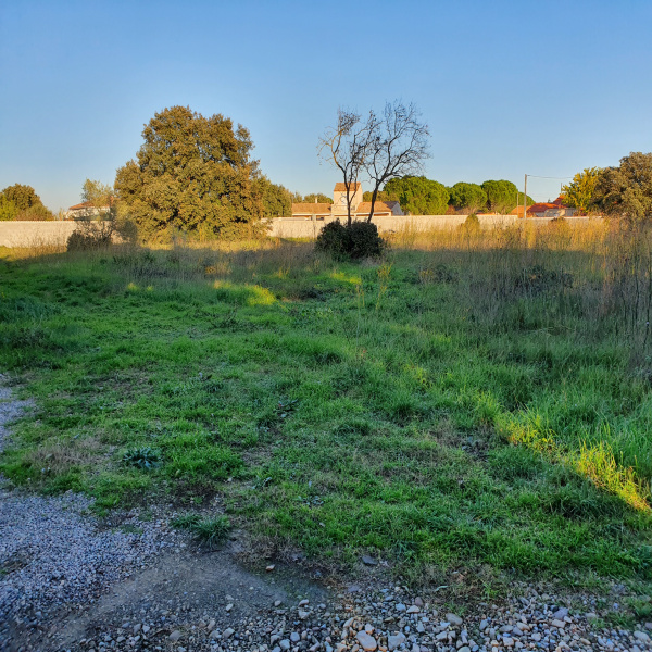 Offres de vente Terrain Saint-Nazaire-d'Aude 11120