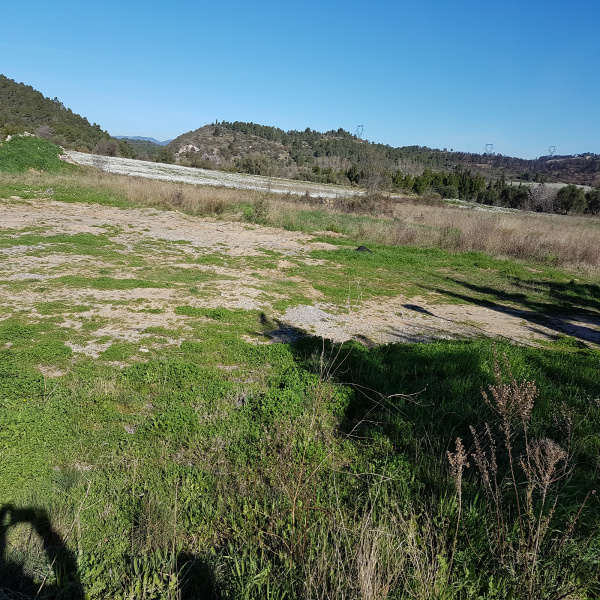 Offres de vente Terrain Mailhac 11120