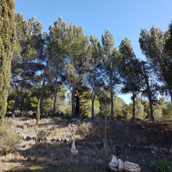 Offres de vente Villa Bages 11100