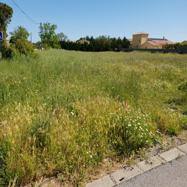 Offres de vente Terrain Saint-Nazaire-d'Aude 11120