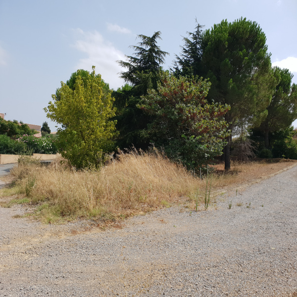 Offres de vente Terrain Ventenac-en-Minervois 11120