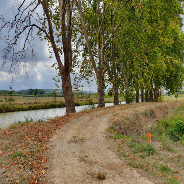 Offres de vente Terrain Roubia 11200