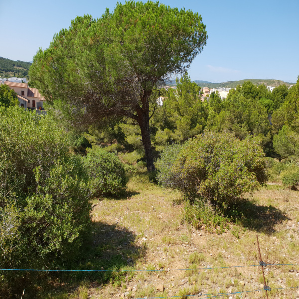 Offres de vente Terrain Narbonne 11100