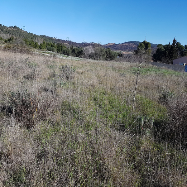Offres de vente Terrain Mailhac 11120